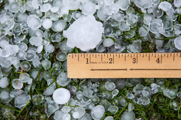 Hail in grass after hailstorm
